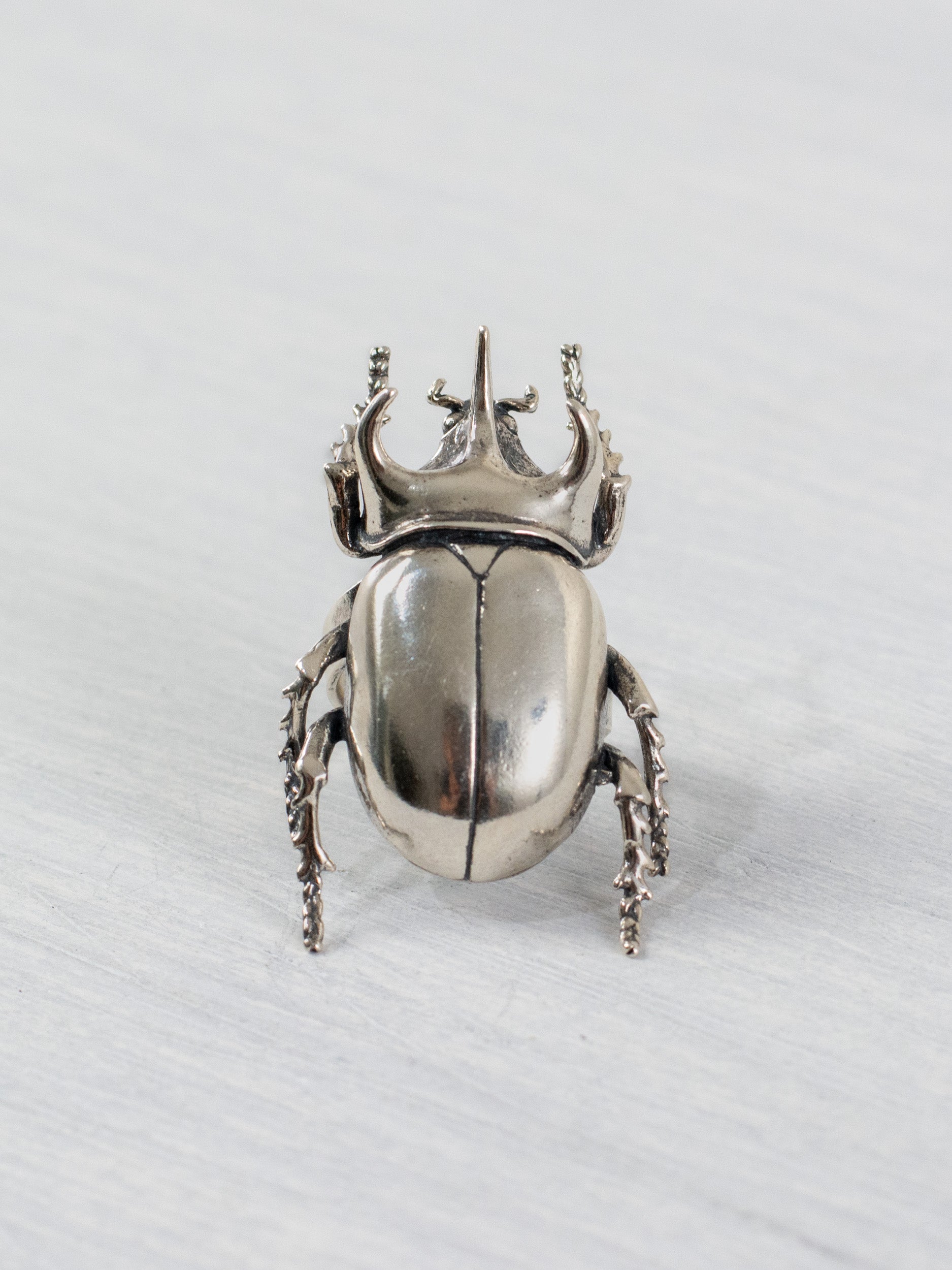 Anillo Escarabajo Gigante