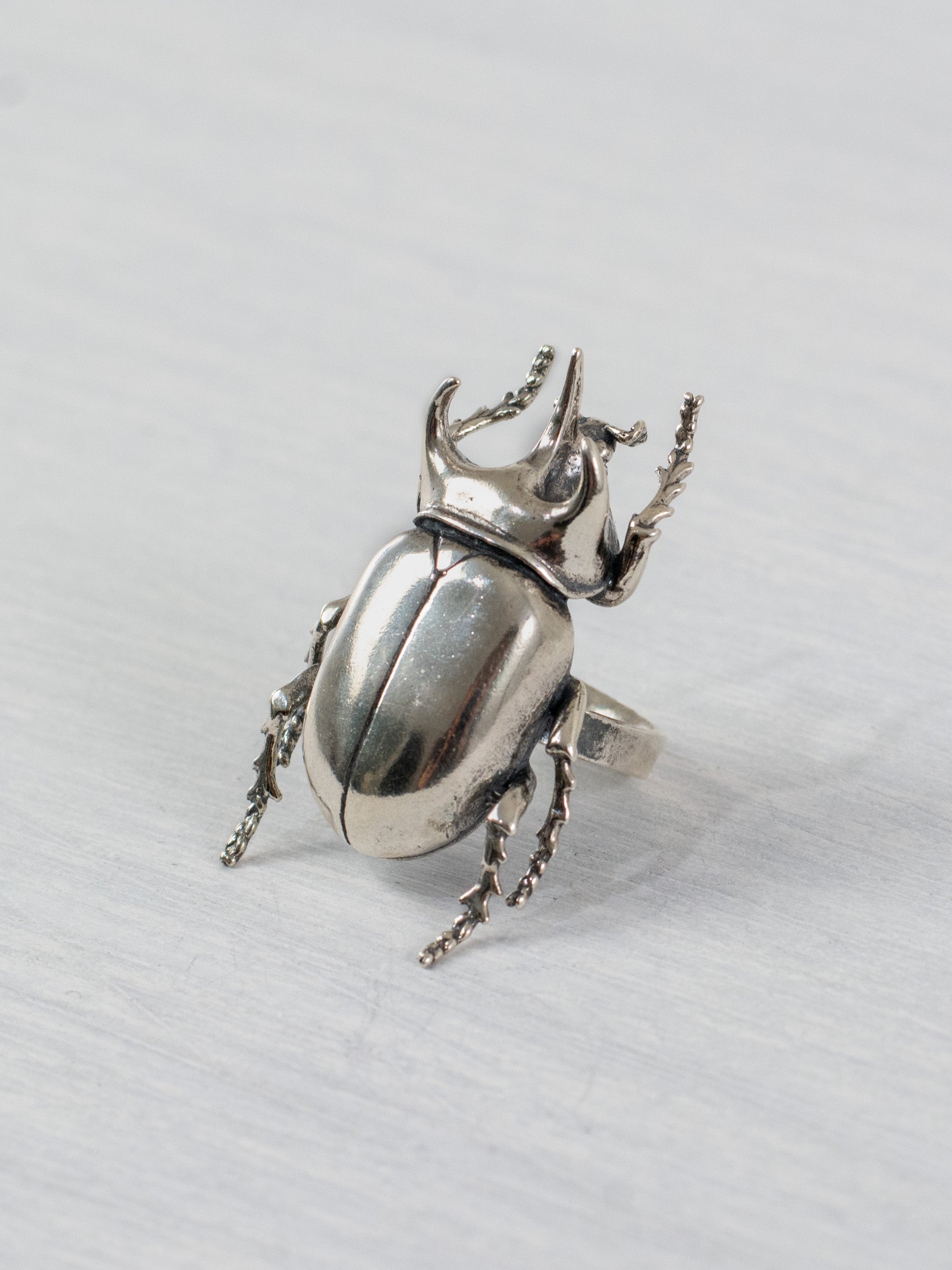 Anillo Escarabajo Gigante