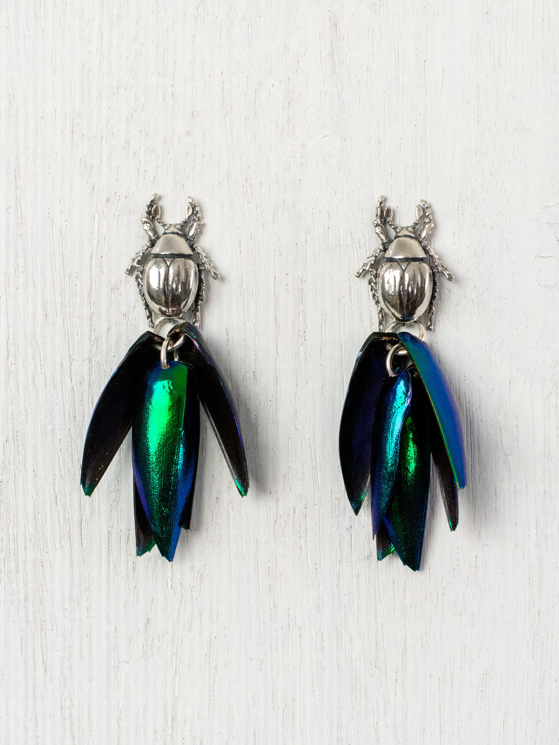 Aretes de escarabajo tornasol postes