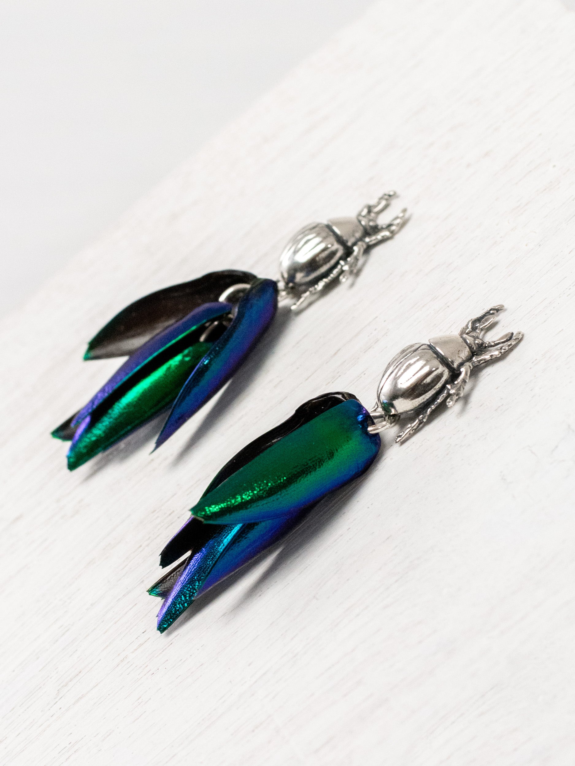 Aretes de escarabajo tornasol postes
