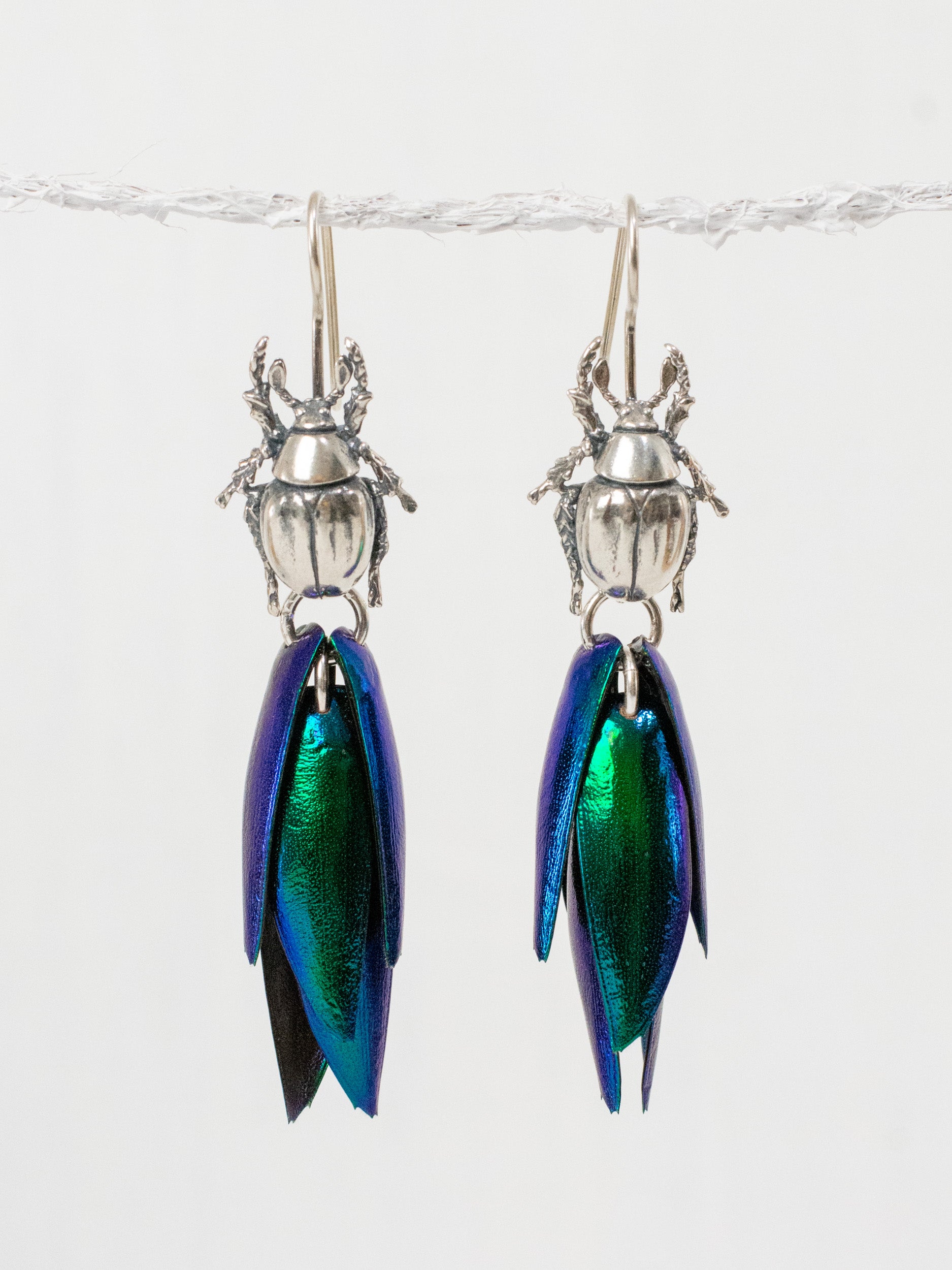 Aretes de escarabajo tornasol ganchos