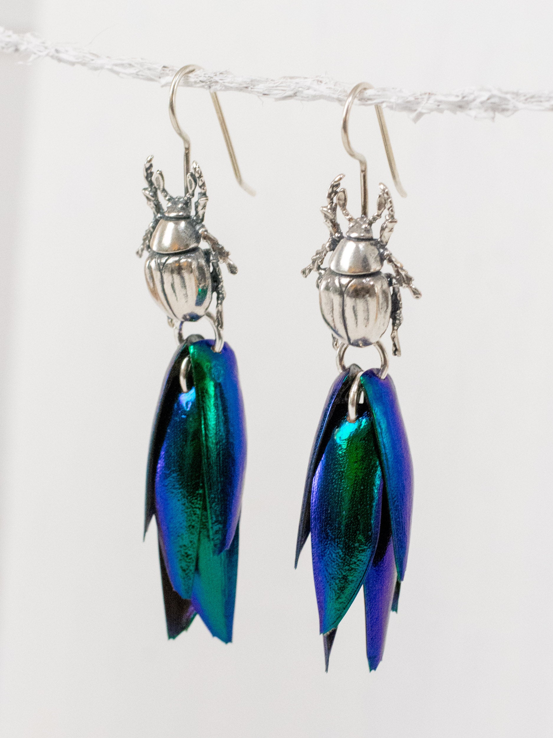 Aretes de escarabajo tornasol ganchos